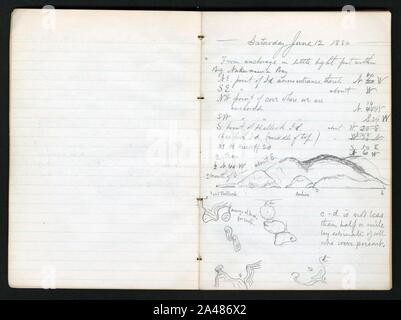 Note sul campo, 1880 (pagine 10 e 11) Foto Stock