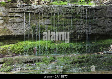 Hathaway preservare a Ross Esegui Foto Stock