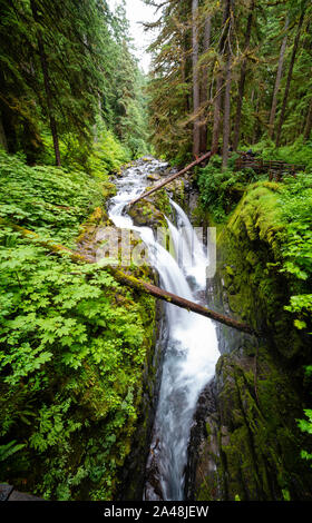 Sol Duc cade in un giorno nuvoloso al Sol duc unità del Parco Nazionale di Olympic, Washington, Stati Uniti d'America. Foto Stock