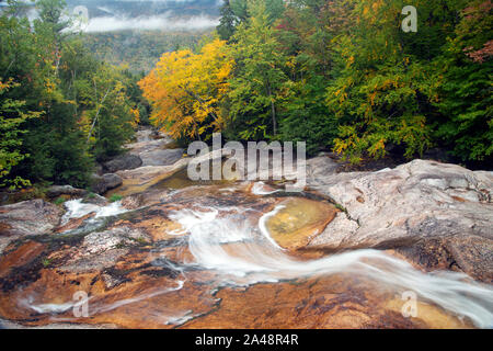 Fase cade nel mese di ottobre, Newry, Maine, Stati Uniti d'America Foto Stock