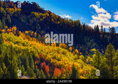 Questa è una vista della caduta di colori su gli alberi lungo la Highway 89 degli Stati Uniti, la Logan Canyon Scenic Byway nella Logan Canyon, Uinta-Wasatch-Cache National Forest Foto Stock