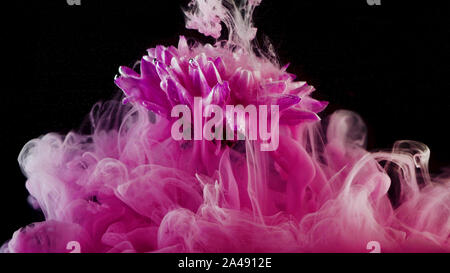 Schizzi di inchiostro colorato in acqua, colori luminosi. Creative e mix di colore, abstract volute di colori rosa su sfondo nero. Foto Stock