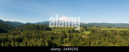 Antenna vista panoramica del paesaggio americano e verdi campi di fattoria di Monte Cofano in background. Preso in Oregon, Stati Uniti d'America. Foto Stock