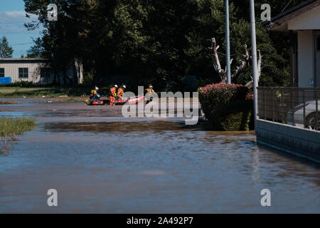 Kawagoe, Giappone. Xiii oct, 2019. Squadra di salvataggio tirare una barca in una zona allagata di Kawagoe city, in Giappone il 13 ottobre 2019. Potente tifone Hagibis e postumi flood strappato in tutto il paese, uccidendo 11 persone e dozzine di persone scomparse. Kawagoe. Credito: Aflo Co. Ltd./Alamy Live News Foto Stock