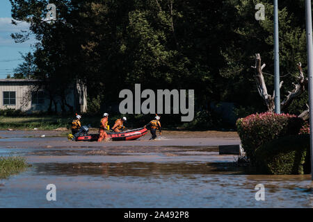 Kawagoe, Giappone. Xiii oct, 2019. Squadra di salvataggio tirare una barca in una zona allagata di Kawagoe city, in Giappone il 13 ottobre 2019. Potente tifone Hagibis e postumi flood strappato in tutto il paese, uccidendo 11 persone e dozzine di persone scomparse. Kawagoe. Credito: Aflo Co. Ltd./Alamy Live News Foto Stock