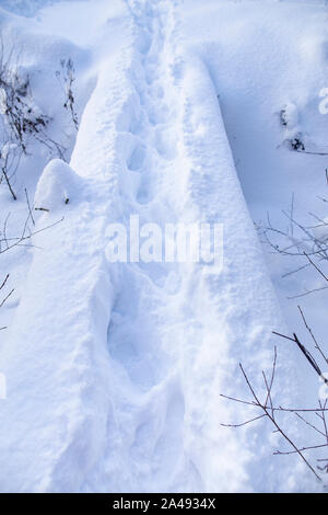 Un piccolo e stretto ponte con un percorso calpestate in cumuli di neve profonda passa attraverso un congelati e coperti di neve stream. Foto Stock