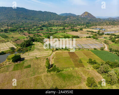 Vista aerea di campi di riso intorno a Chiang Mai, Thailandia Foto Stock
