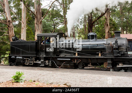 Melbourne, Australia - 7 Gennaio 2009: Treno a Vapore Puffing Billy. Storica ferrovia stretta in Dandenong Ranges vicino a Melbourne. Foto Stock