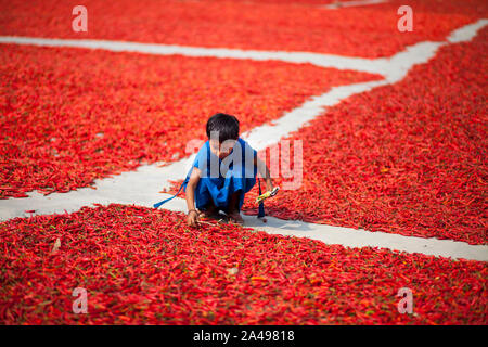 GAIBANDHA, BANGLADESH - 23 febbraio : i bambini stanno giocando nei pressi di donne di elaborazione e di essiccazione peperoncino rosso uner sun vicino al fiume Jamuna 240 km a nord-ovest o Foto Stock