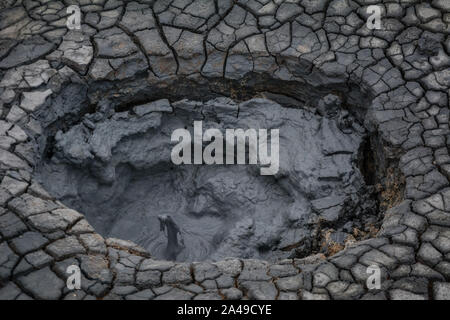 Sculture di ebollizione fango grigio in Hverir, Krafla area geotermica, Islanda in estate, primo piano. Foto Stock