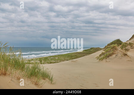 Il mare ed il paesaggio vicino la città di Skagen in Danimarca. Foto Stock