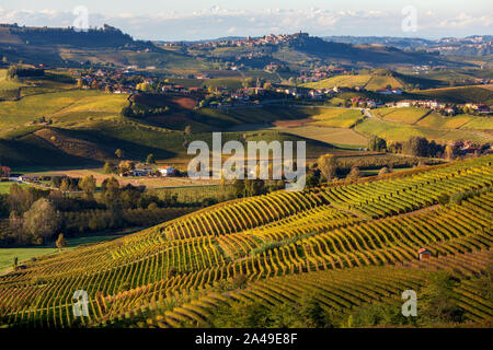 Colorate vigneti crescono sulle colline delle Langhe in Piemonte, Italia settentrionale. Foto Stock