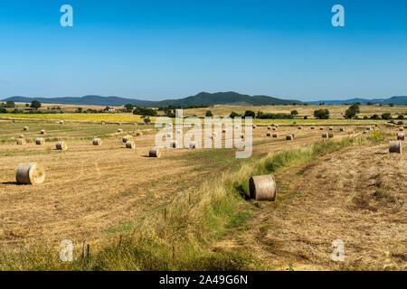 Paesaggio rurale in estate vicino a Tuscania, Viterbo, Lazio, Italia Foto Stock