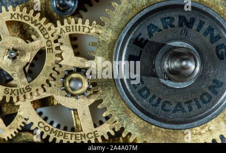 Ingranaggi del meccanismo con testi su di essi - conoscenze, competenze, qualifiche, apprendimento, istruzione Foto Stock