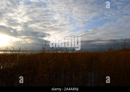 Grigio con il blu cielo di autunno al tramonto tra le nuvole sopra il giallo canneti di shore canne sul lago Foto Stock