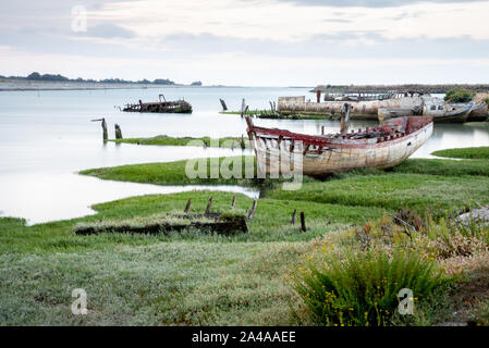 Il Noirmoutier barche cimitero. Il relitto di una vecchia barca da pesca è incagliata sulla vegetazione che cresce sul bordo del mudflat Foto Stock