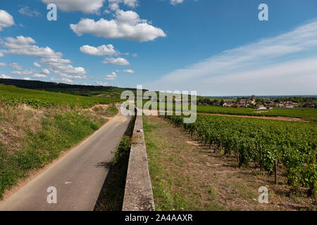 Francia.Cote de Beaune strada del vino, Borgogna, Francia. Foto Stock