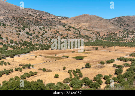 Elounda, Creta, Grecia. Ottobre 2019. Agricoltura su un altopiano sulla vecchia strada nazionale che corre in alta montagna al di sopra di Elounda, Creta. Foto Stock