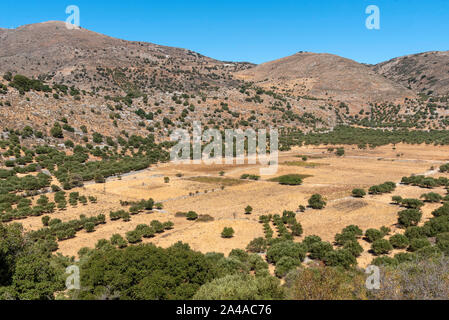 Elounda, Creta, Grecia. Ottobre 2019. Agricoltura su un altopiano sulla vecchia strada nazionale che corre in alta montagna al di sopra di Elounda, Creta. Foto Stock