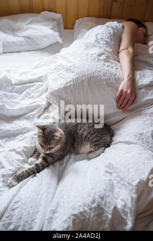 Un simpatico, giovane gatto dorme sul letto con la sua padrona in un paese di legno house, nella luce naturale dalla finestra al mattino presto. Foto Stock