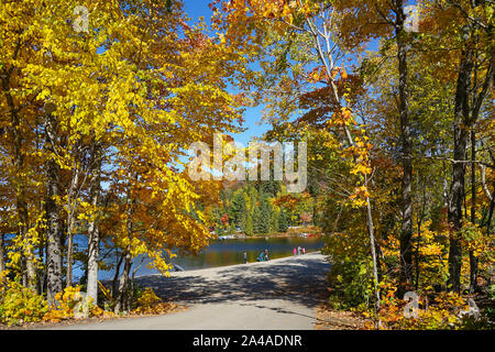 Tourist dal Giappone ammirando le foglie colorate in vista di Algonquin Provincial Park in Ontario vicino a Huntsville, Canada Foto Stock