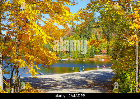 Tourist dal Giappone ammirando le foglie colorate in vista di Algonquin Provincial Park in Ontario vicino a Huntsville, Canada Foto Stock