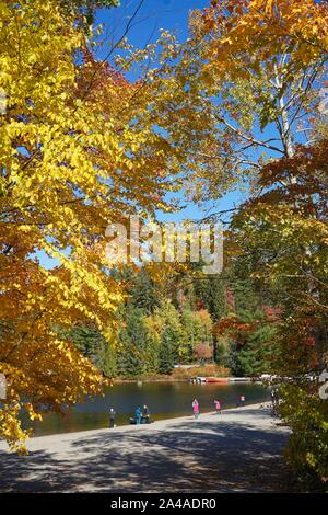 Tourist dal Giappone ammirando le foglie colorate in vista di Algonquin Provincial Park in Ontario vicino a Huntsville, Canada Foto Stock