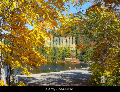 Tourist dal Giappone ammirando le foglie colorate in vista di Algonquin Provincial Park in Ontario vicino a Huntsville, Canada Foto Stock