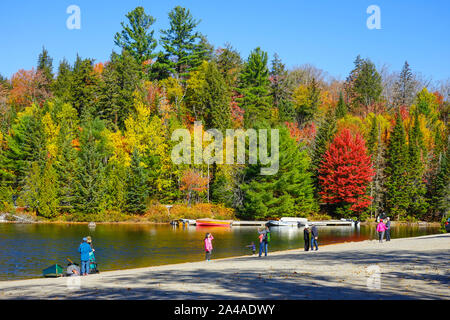 Tourist dal Giappone ammirando le foglie colorate in vista di Algonquin Provincial Park in Ontario vicino a Huntsville, Canada Foto Stock