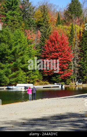 Tourist dal Giappone ammirando le foglie colorate in vista di Algonquin Provincial Park in Ontario vicino a Huntsville, Canada Foto Stock