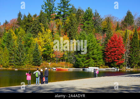 Tourist dal Giappone ammirando le foglie colorate in vista di Algonquin Provincial Park in Ontario vicino a Huntsville, Canada Foto Stock