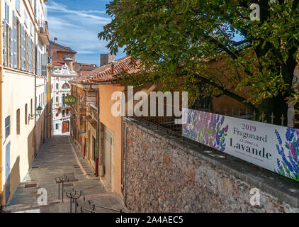 Grasse Foto Stock