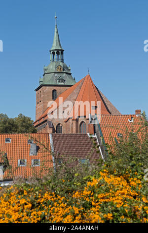 Michaelis Chiesa, Lueneburg, Bassa Sassonia, Germania Foto Stock