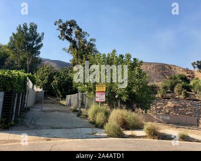 Ottobre 12, 2019, Sylmar, California, U.S: conigli e uccelli scorrono attraverso questo carbonizzati, paesaggio arido nel residenziale Porter Ranch quartiere di Sylmar, a est di Los Angeles, a tornare a casa. Santa Ana si snoda causato un pennello il fuoco nella Pedemontana settentrionale della valle di San Fernando su Ott. 11, bruciando 7.500 acri, almeno 31 strutture, comprese molte abitazioni e costringendo migliaia di persone a fuggire. I residenti sono solo di ritornare alle loro case di oggi e lo sguardo al bruciato pendii che li circondano. (Credito Immagine: © Amy Katz/ZUMA filo) Foto Stock