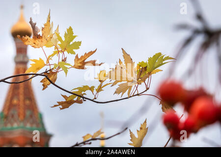 Foglie di autunno sullo sfondo della Cattedrale di San Basilio sulla Piazza Rossa nel centro di Mosca, Russia Foto Stock
