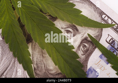 Primo piano di foglie di cannabis su United States Dollar Bills isolati su sfondo bianco. Foto Stock