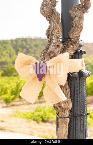 Vitigno trunk utilizzato per effettuare decorazioni di strada per il vino di Harvest Festival a La Rioja Alavesa wine Harvest Festival 2019, Banos de Ebro, Spagna Foto Stock