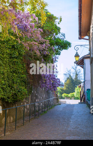 Vecchia strada stretta a Annecy, Francia. Bellissimo glicine lilla e street lanterna. Foto Stock