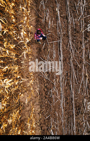 Drone fotografia di agricoltore femmina con tavoletta digitale nella raccolta di mais e girasole, campo di vista superiore Foto Stock