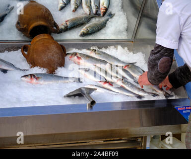 Le mani del cameriere organizzando il pesce fresco display sul contatore di ghiaccio presso un ristorante esterno a Antalya, Turchia Foto Stock