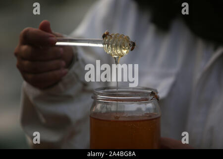 La striscia di Gaza. Xiii oct, 2019. Palestinesi apicoltore femmina Samar Elbaa controlli miele presso la sua famiglia Fattoria api nel nord della Striscia di Gaza città di Beit Hanoun, 13 ottobre, 2019. Samar Elbaa, 28, ha iniziato a lavorare nel settore dell'apicoltura per la riabilitazione della sua famiglia Fattoria api, che è stato distrutto dalle forze israeliane nel 2006. Come la prima ragazza nella Striscia di Gaza a lavorare come un apicoltore ha iniziato con 30 alveari e presto aumentato a 50 presso la sua azienda. Credito: Mohammed Dahman/Xinhua/Alamy Live News Foto Stock