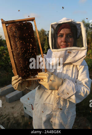 La striscia di Gaza. Xiii oct, 2019. Palestinesi apicoltore femmina Samar Elbaa visualizza un alveare presso la sua famiglia Fattoria api nel nord della Striscia di Gaza città di Beit Hanoun, 13 ottobre, 2019. Samar Elbaa, 28, ha iniziato a lavorare nel settore dell'apicoltura per la riabilitazione della sua famiglia Fattoria api, che è stato distrutto dalle forze israeliane nel 2006. Come la prima ragazza nella Striscia di Gaza a lavorare come un apicoltore ha iniziato con 30 alveari e presto aumentato a 50 presso la sua azienda. Credito: Mohammed Dahman/Xinhua/Alamy Live News Foto Stock