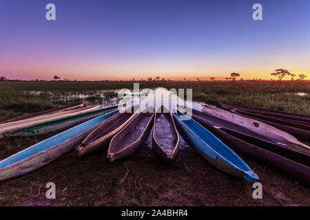 Botswanian mokoro locale barche nel tramonto sulla riva del delta del fiume Okavango, Botswana Foto Stock
