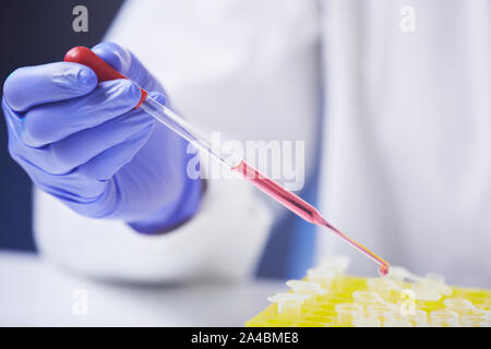 Extreme close up di un irriconoscibile scienziato indossare guanti protettivi preparazione campione di sangue usando un contagocce durante il lavoro in laboratorio di analisi mediche, copia s Foto Stock