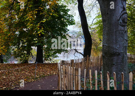 Luce di autunno a Göteborg Tradgarden dell Foto Stock