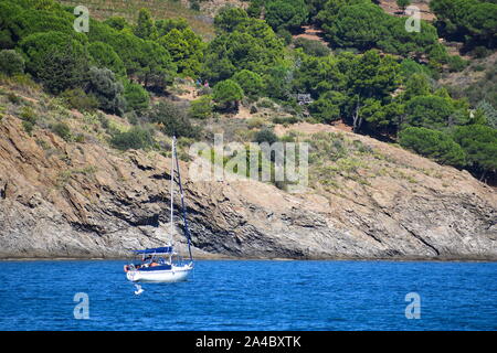 In barca a vela lungo la costa della Riviera francese sulla soleggiata giornata estiva. Mare calmo, sea gull, vigneti, rocce e esotici alberi di pino in background. Foto Stock