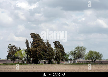 Il Landrum (talvolta chiamata Los Flores) cimitero, un paese cimitero istituito nel 1920 presso la comunità di San Benito in Cameron County, lungo il fiume Rio Grande nel lontano sud del Texas Foto Stock