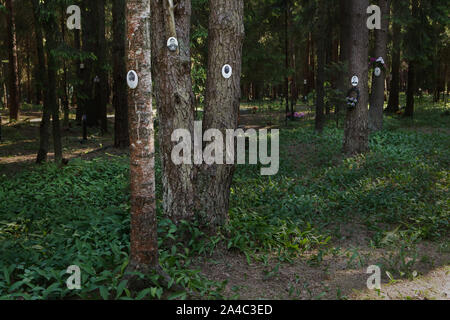 Fotografie delle vittime del Bolshevik repressioni politico installato dai loro parenti a Levashovo Memorial Cemetery in foresta accanto a Levashovo stazione ferroviaria nei pressi di San Pietroburgo, Russia. La foresta è diventato la massa luogo di sepoltura delle persone giustiziate durante il Grande spurgare dalla polizia segreta sovietica NKVD, più tardi conosciuto come il KGB. Vi sono stati almeno 19.000 vittime di repressioni politici qui sepolto dal 1937 al 1954. Secondo altre fonti, circa 45.000 persone potrebbe essere sepolto a Levashovo Memorial Cemetery in tombe non marcati. Foto Stock