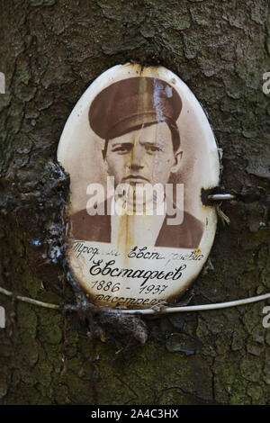 Fotografia di una delle vittime del Bolshevik repressioni politico installato dai suoi parenti a Levashovo Memorial Cemetery in foresta accanto a Levashovo stazione ferroviaria nei pressi di San Pietroburgo, Russia. La foresta è diventato la massa luogo di sepoltura delle persone giustiziate durante il Grande spurgare dalla polizia segreta sovietica NKVD, più tardi conosciuto come il KGB. Vi sono stati almeno 19.000 vittime di repressioni politici qui sepolto dal 1937 al 1954. Secondo altre fonti, circa 45.000 persone potrebbe essere sepolto a Levashovo Memorial Cemetery in tombe non marcati. Foto Stock