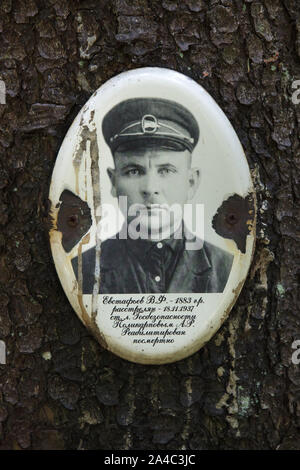 Fotografia di una delle vittime del Bolshevik repressioni politico installato dai suoi parenti a Levashovo Memorial Cemetery in foresta accanto a Levashovo stazione ferroviaria nei pressi di San Pietroburgo, Russia. La foresta è diventato la massa luogo di sepoltura delle persone giustiziate durante il Grande spurgare dalla polizia segreta sovietica NKVD, più tardi conosciuto come il KGB. Vi sono stati almeno 19.000 vittime di repressioni politici qui sepolto dal 1937 al 1954. Secondo altre fonti, circa 45.000 persone potrebbe essere sepolto a Levashovo Memorial Cemetery in tombe non marcati. Foto Stock